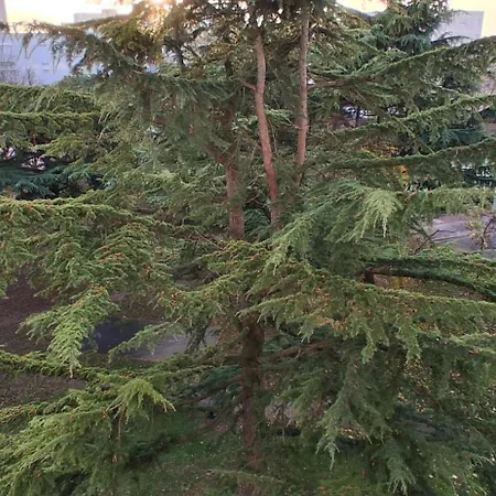 Dans Grand De 113m2 Proche Paris منزل للإقامة *