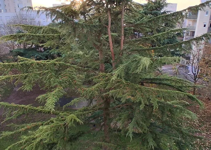 Dans Grand De 113m2 Proche Paris Séjour chez l'habitant *